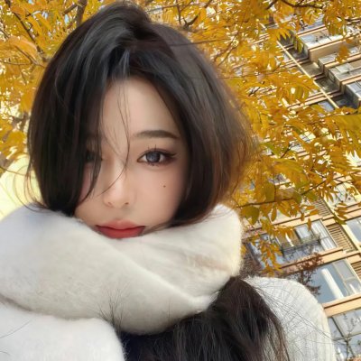 美国鼠谭2:西部历险记